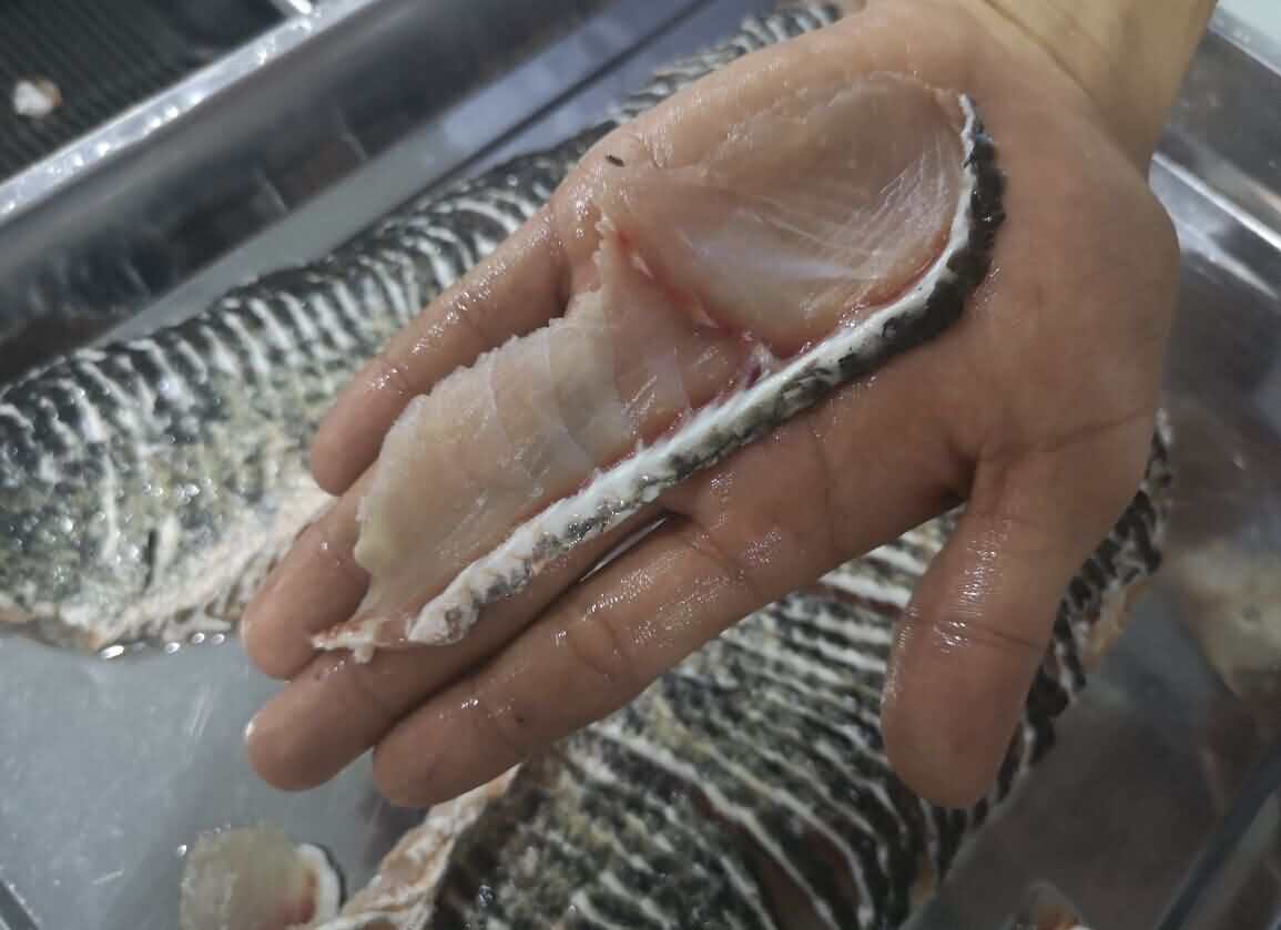 片黑魚(yú)片效果